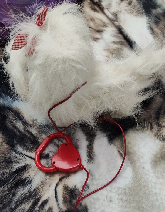 Kudłaty piesek na smyczy