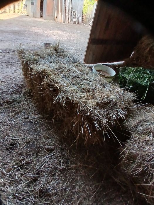 Продам сіно в тюках