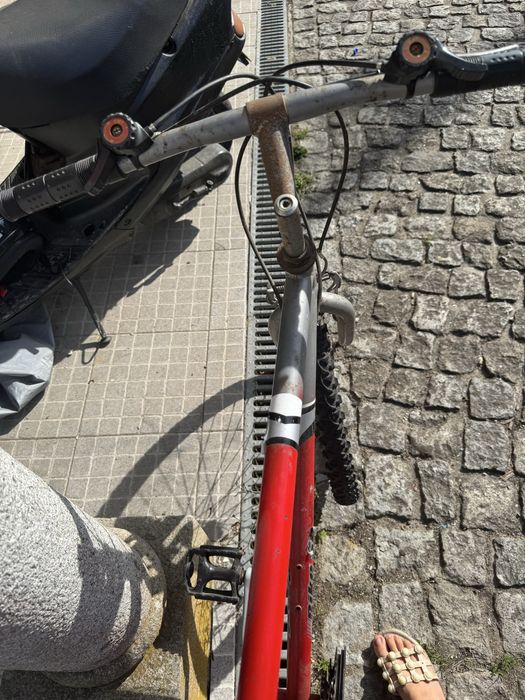 Bicleta jovem/adulto