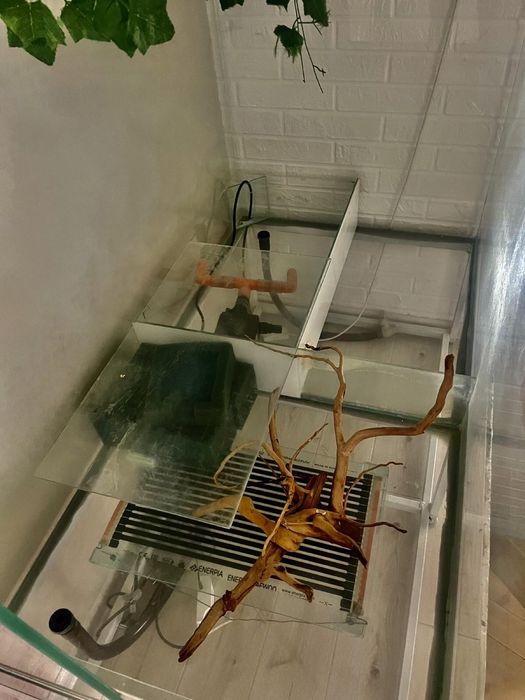 Террариум для всех видов рептилий