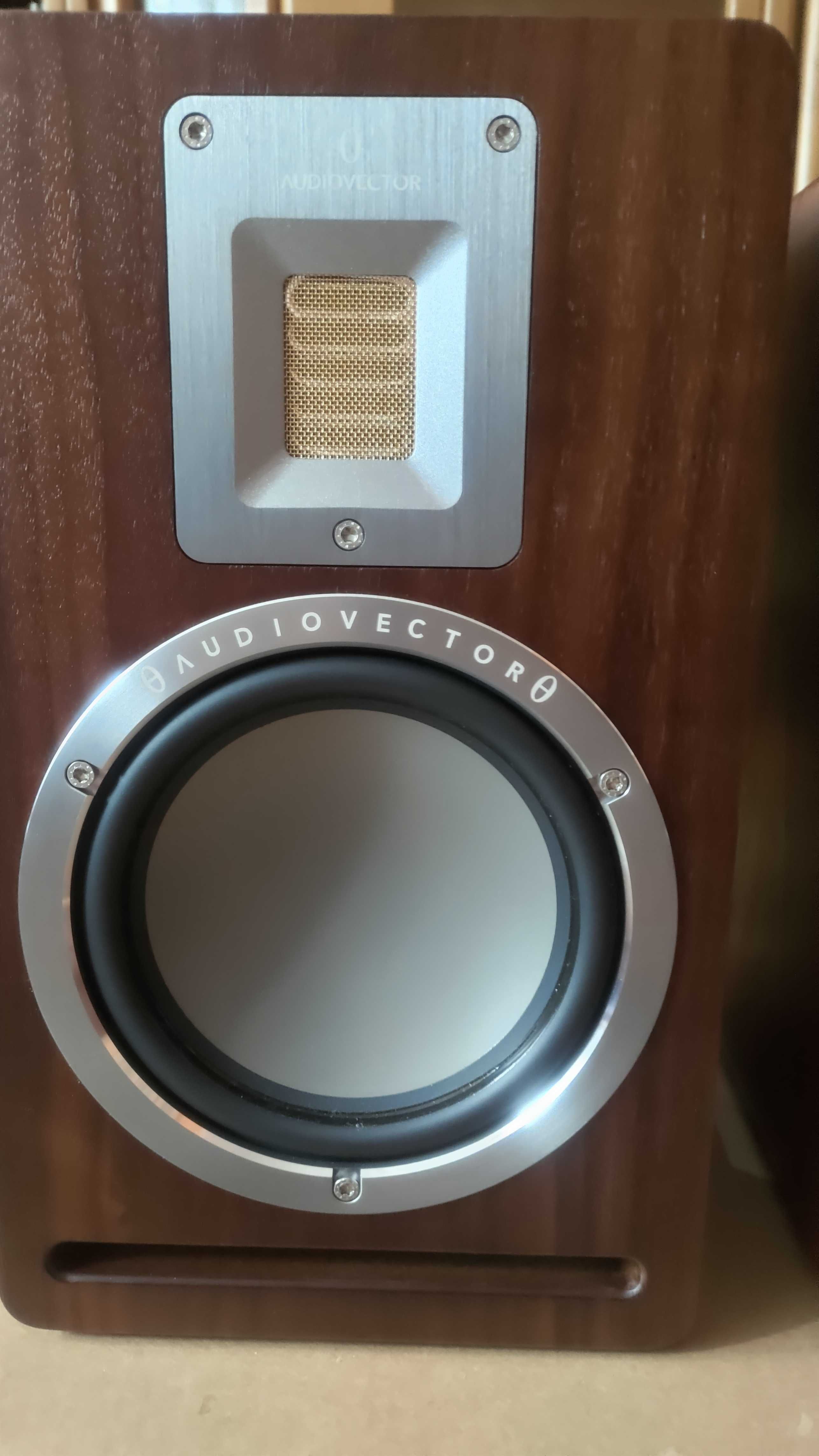 Kolumny Audiovector QR 1