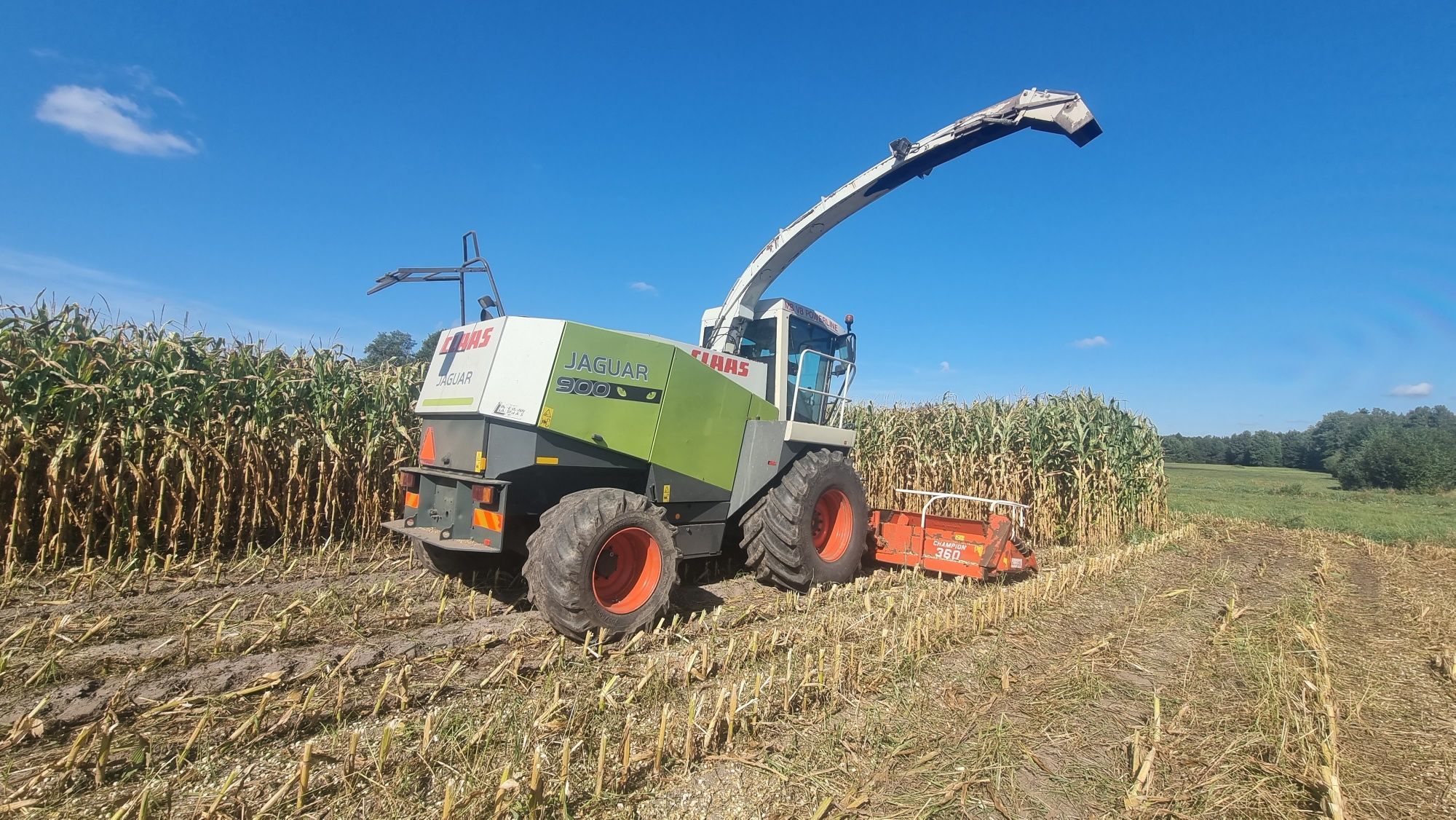 Sieczkarnia Claas Jaguar 900, stan idealny, w oryginale keper 360