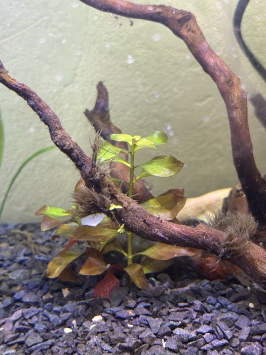 Акваріум 34 літри