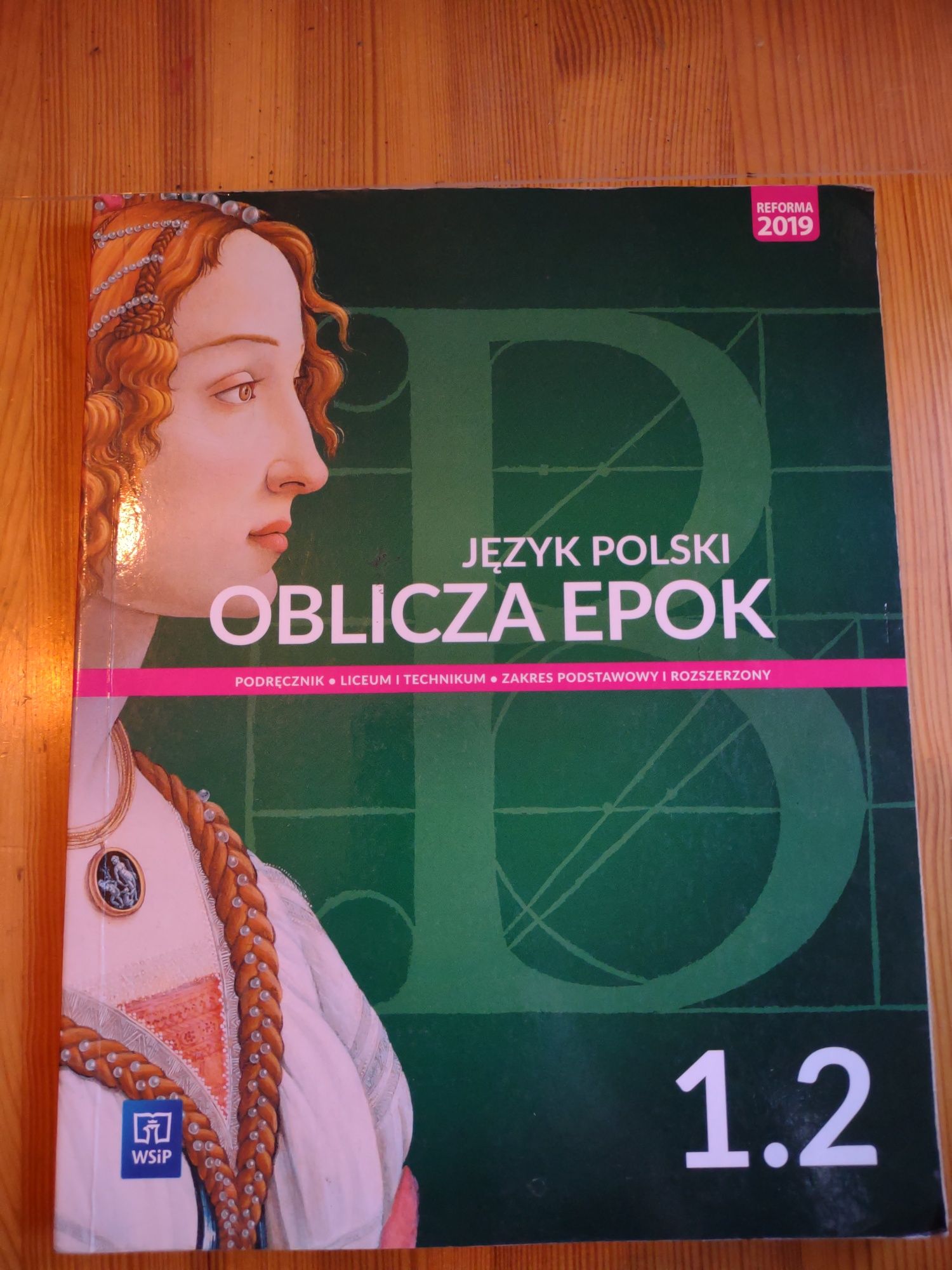 Oblicza epok 1.2 język polski WSiP