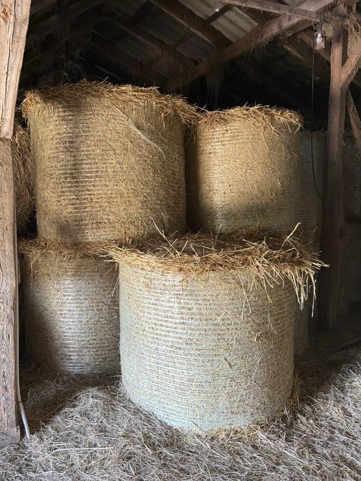 Słoma bele około 110szt. Żniwa 2025