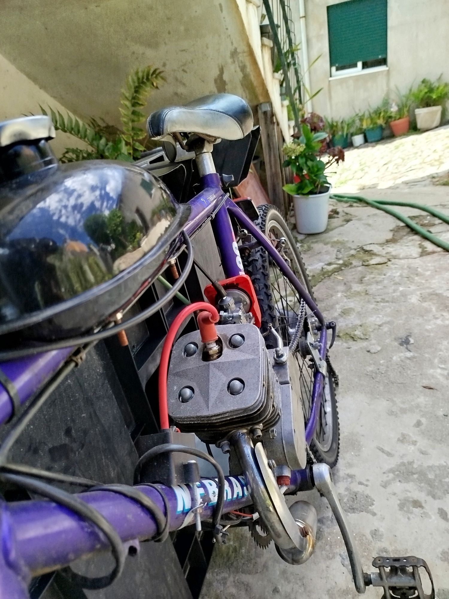 Bicicleta a motor(Bina)