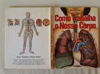 Livro Como Trabalha o Nosso Corpo, Ron Wilson, Editorial Verbo, 1981