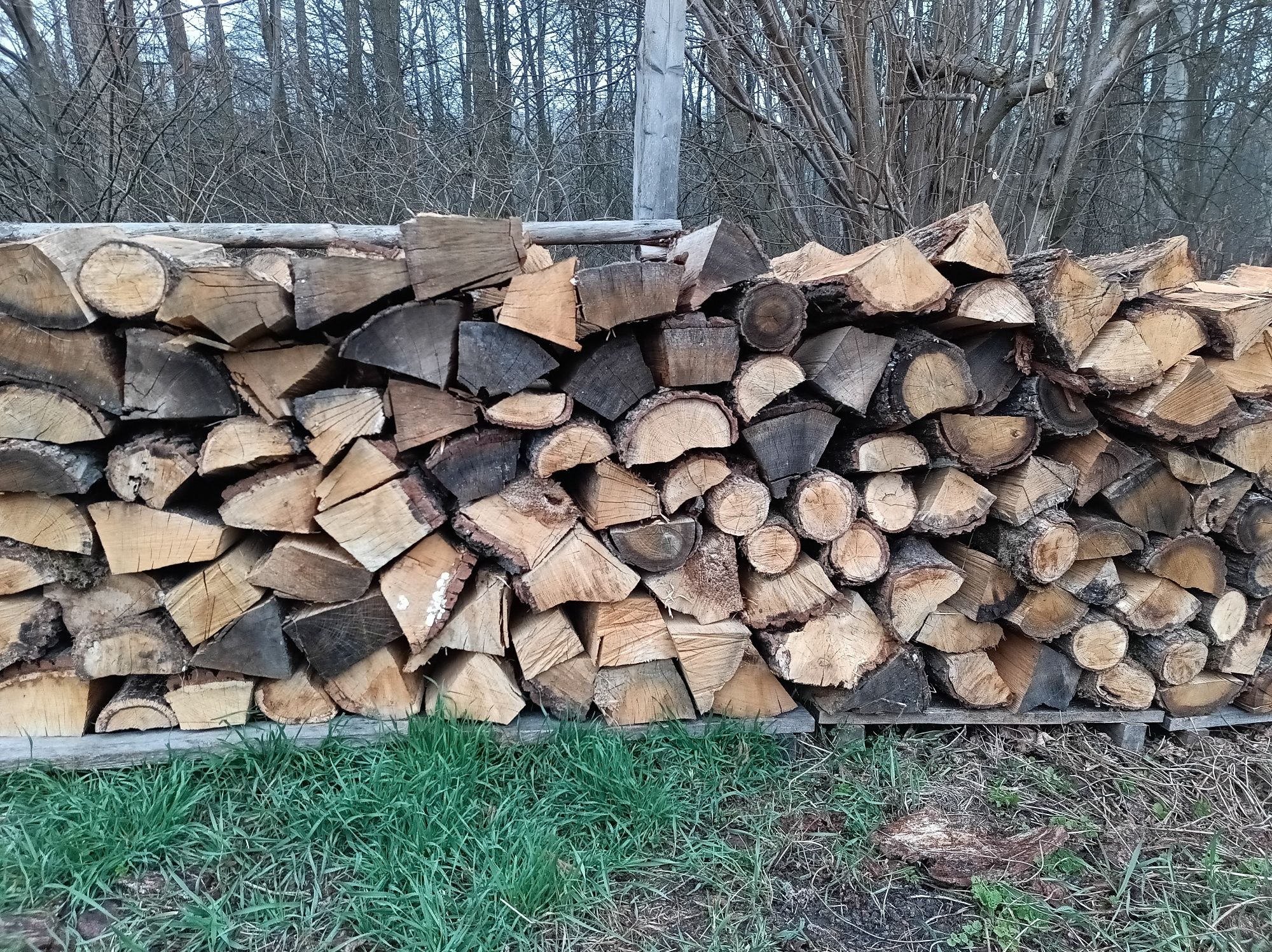 Sprzedam drewno kominkowe i opalowe
