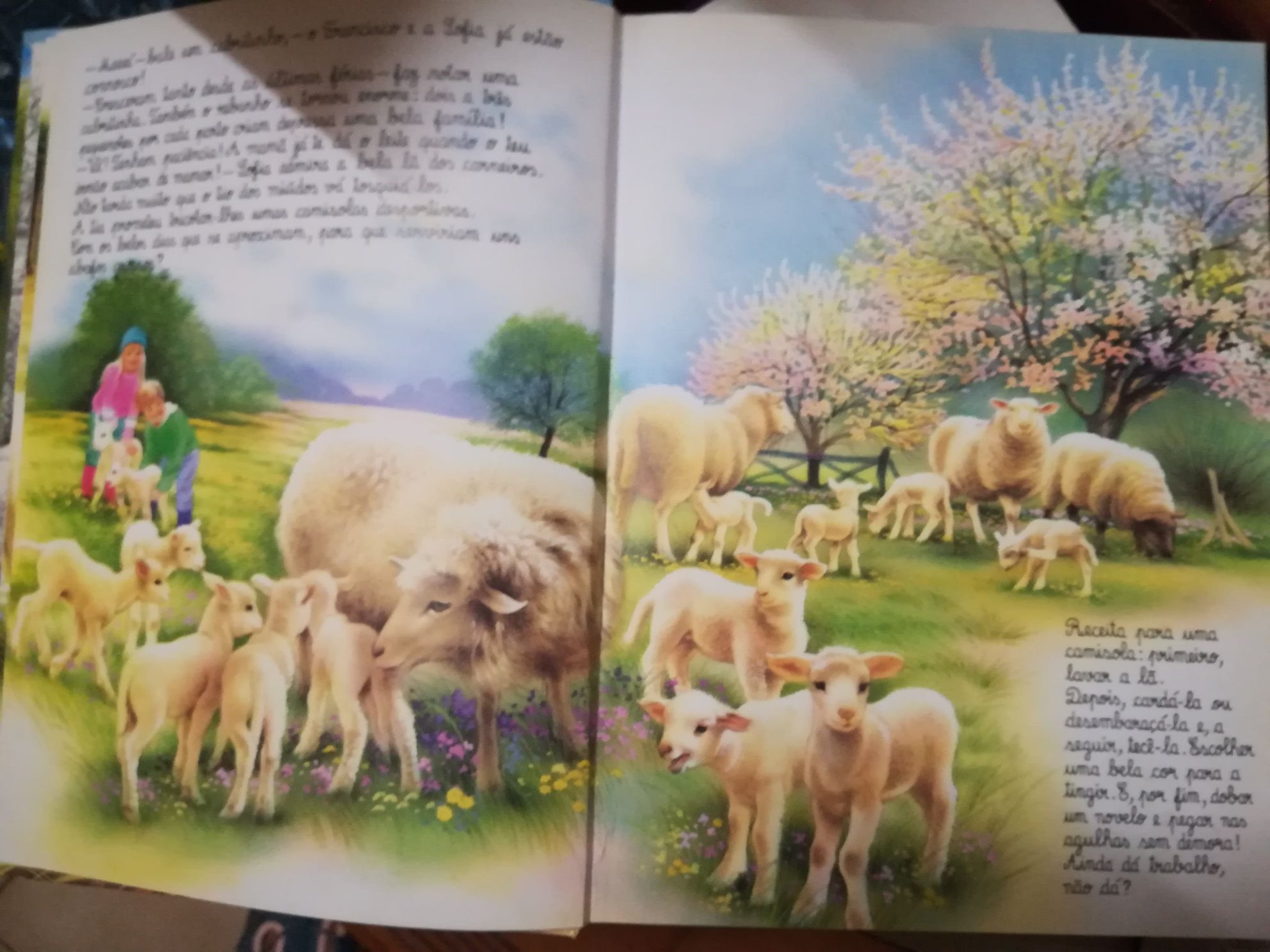 Livro O Mundo dos Animais