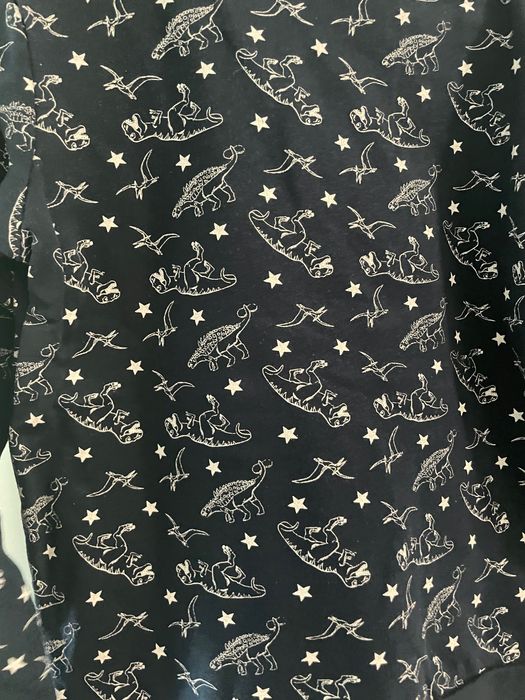 Bluzy dla chłopców / bliźniaków 140 Dinozaury