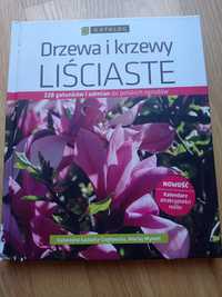 Drzewa i krzewy liściaste