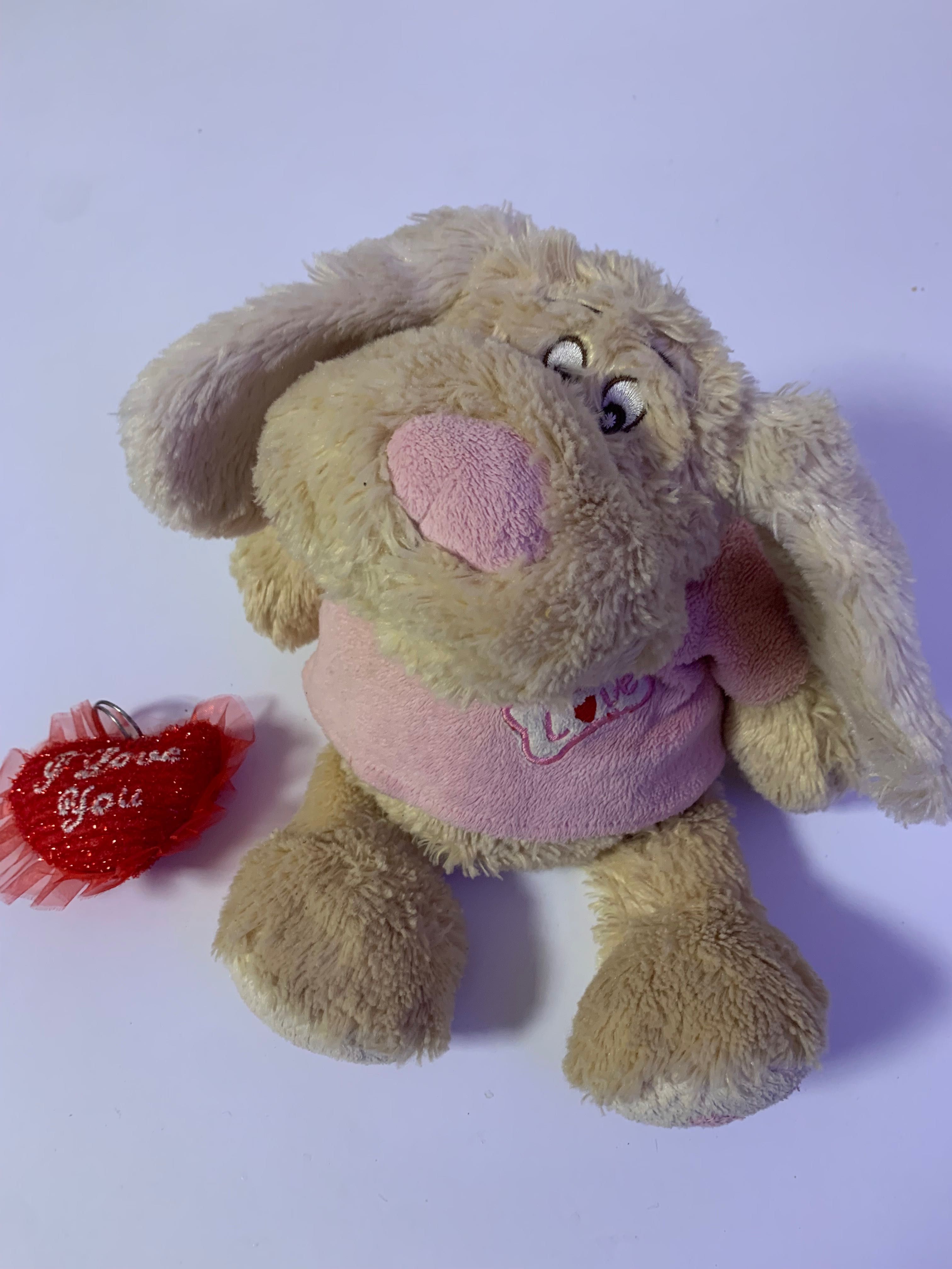 Coelha peluche com dizer “Love”!