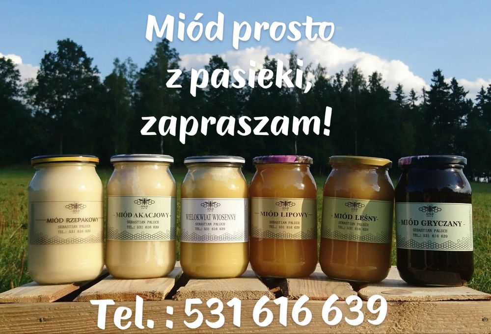 Miód pszczeli z własnej pasieki,pyłek,pierzga,propolis