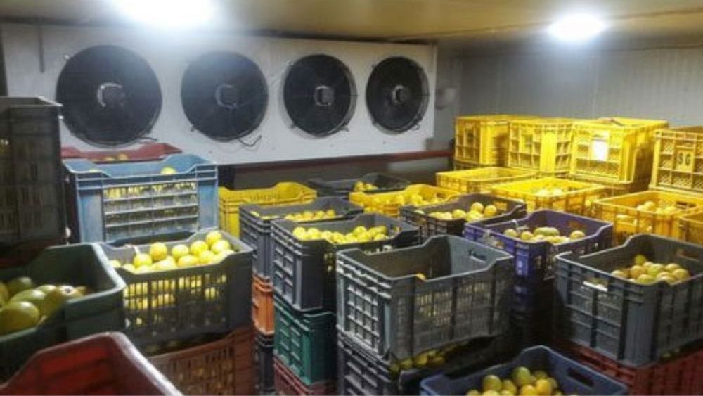 Зберігання урожаю яблук , охолодження, камери холодильні Полтава