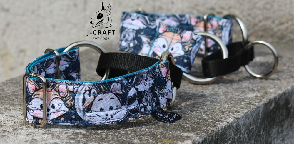 Mocne szelki, obroże i smycze bulterier, pit bull, amstaff - wzory