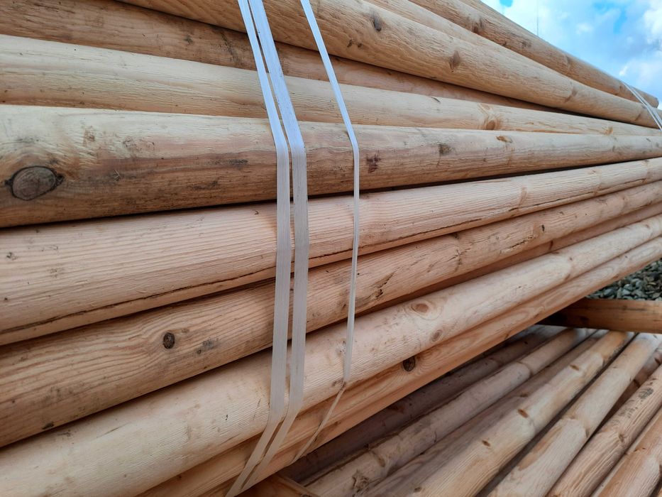 Słupki drewniane, paliki do siatki leśnej, wys. 2,6m