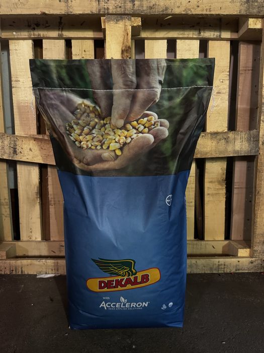 Продам насіння кукурудзи ДКС Монсанто 3939