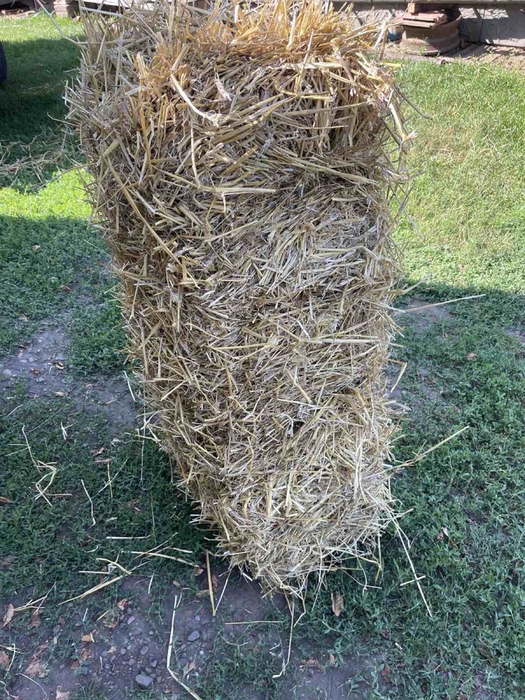 Тюки соломи, сіно