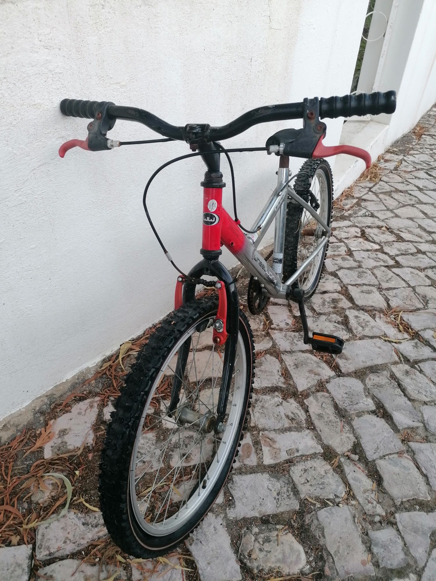 Bicicleta criança