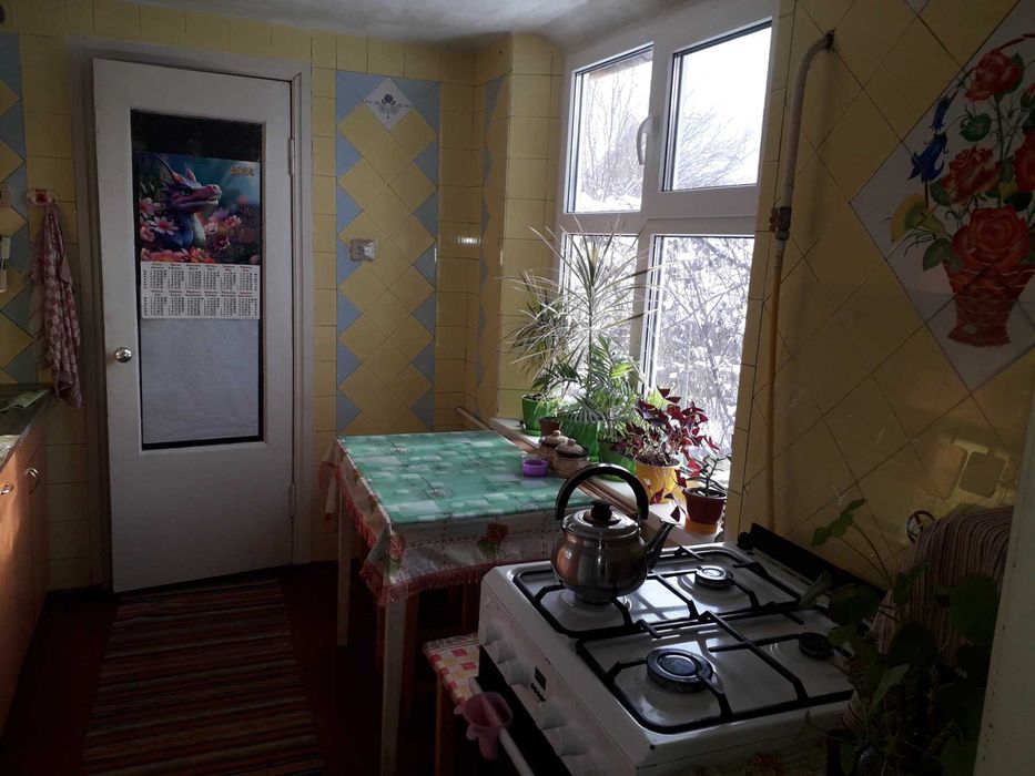 Будинок на 1-му Занасипі