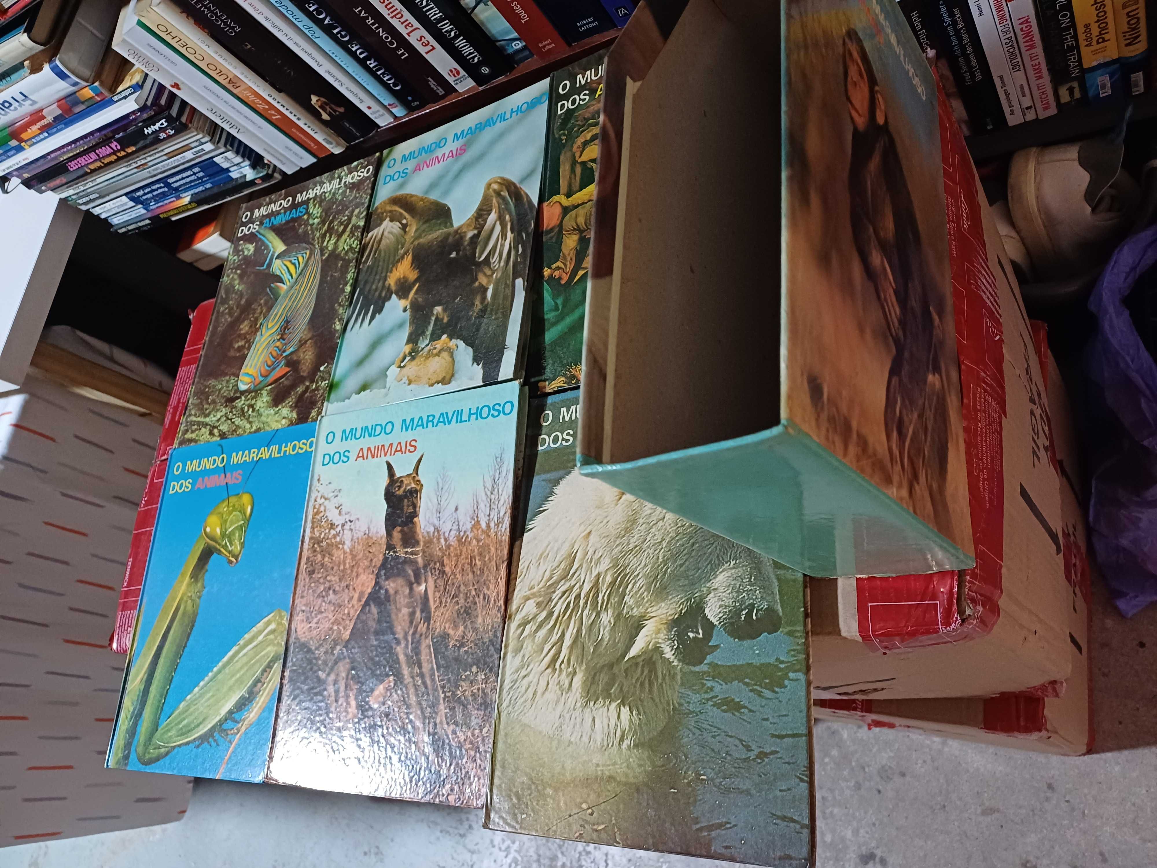 O mundo maravilhoso dos animais 6 volumes e caixa
