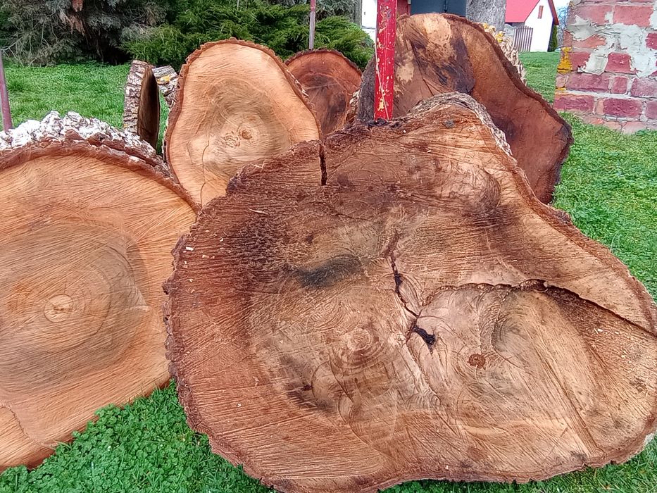 Plastry orzech włoski