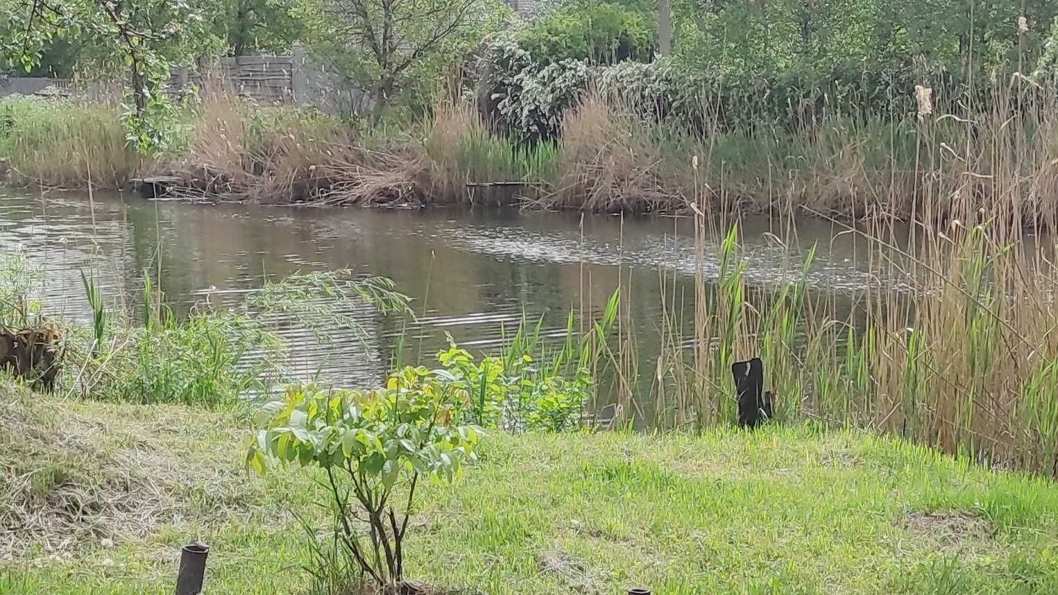 Здам дачу на сезон біля річки в Підгородному