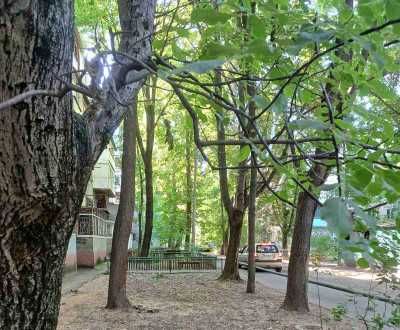 Героев Крут( Терешково) 3 комн.квартира