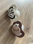 Smoczki lovi nowe