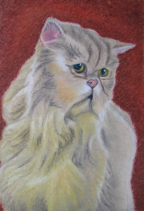 Kot pers - rysunek pastelem