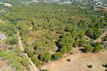 Terreno rústico com área total de 18.920 m2 próximo cidade de Tomar