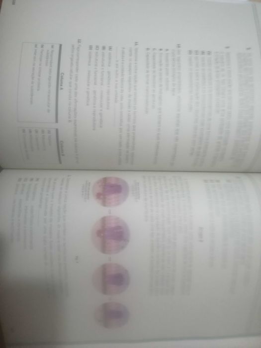 Livro de apoio ao estudo - Biologia e Geologia 10° ano