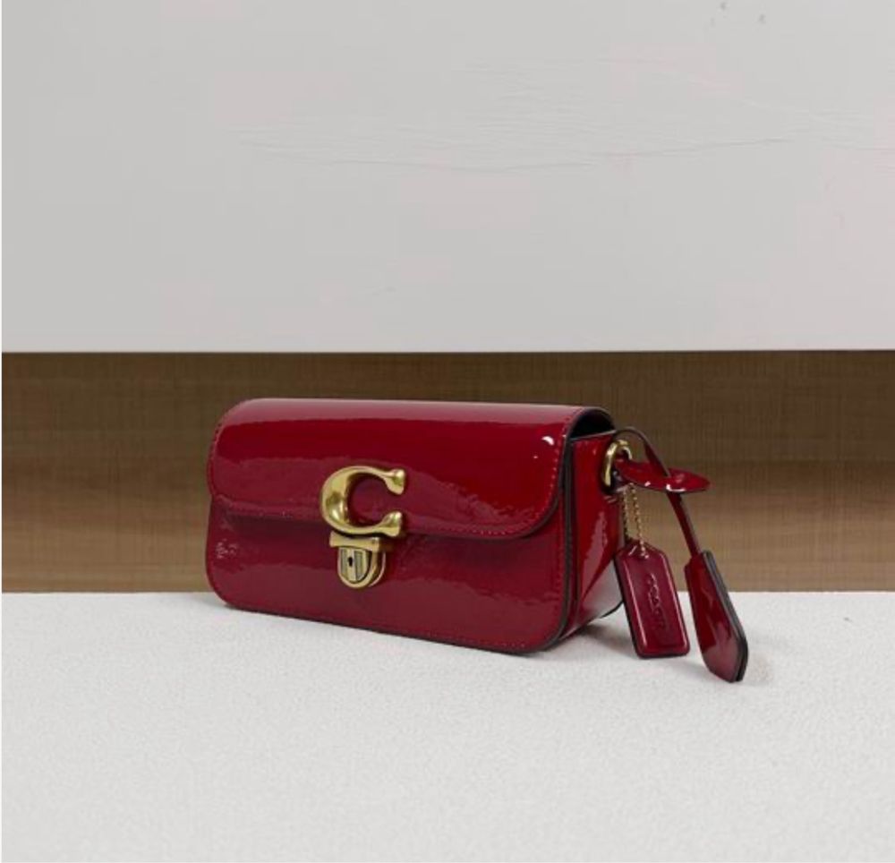 Bolsa coach