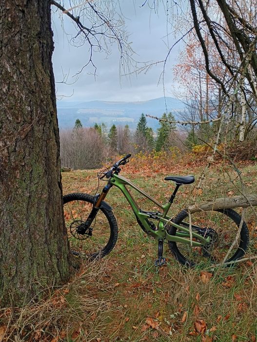 Rower enduro Cannondale jekyll 1