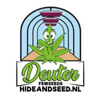 hideandseed.nl feminizowane nasiona marihuany