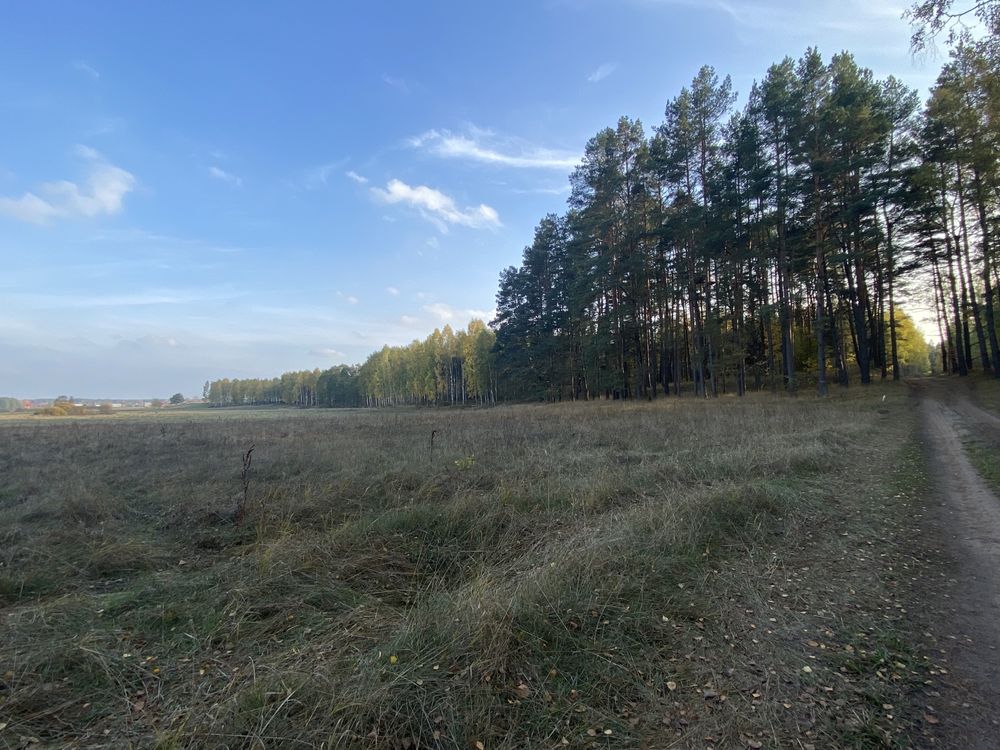 Działka rolna Szuć obok lasu i niedaleko jezior 30ar!