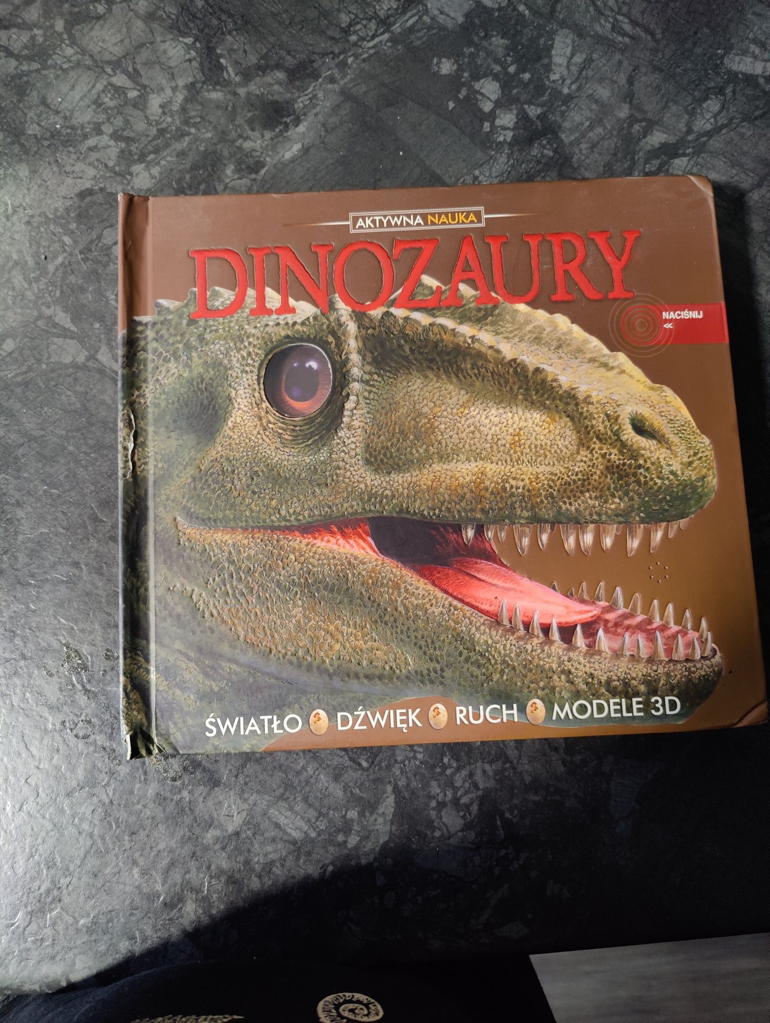 Ruch Modele 3D aktywna nauka dinozaury
