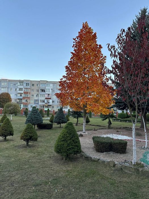 Терміново продам гарну однокімнатну!