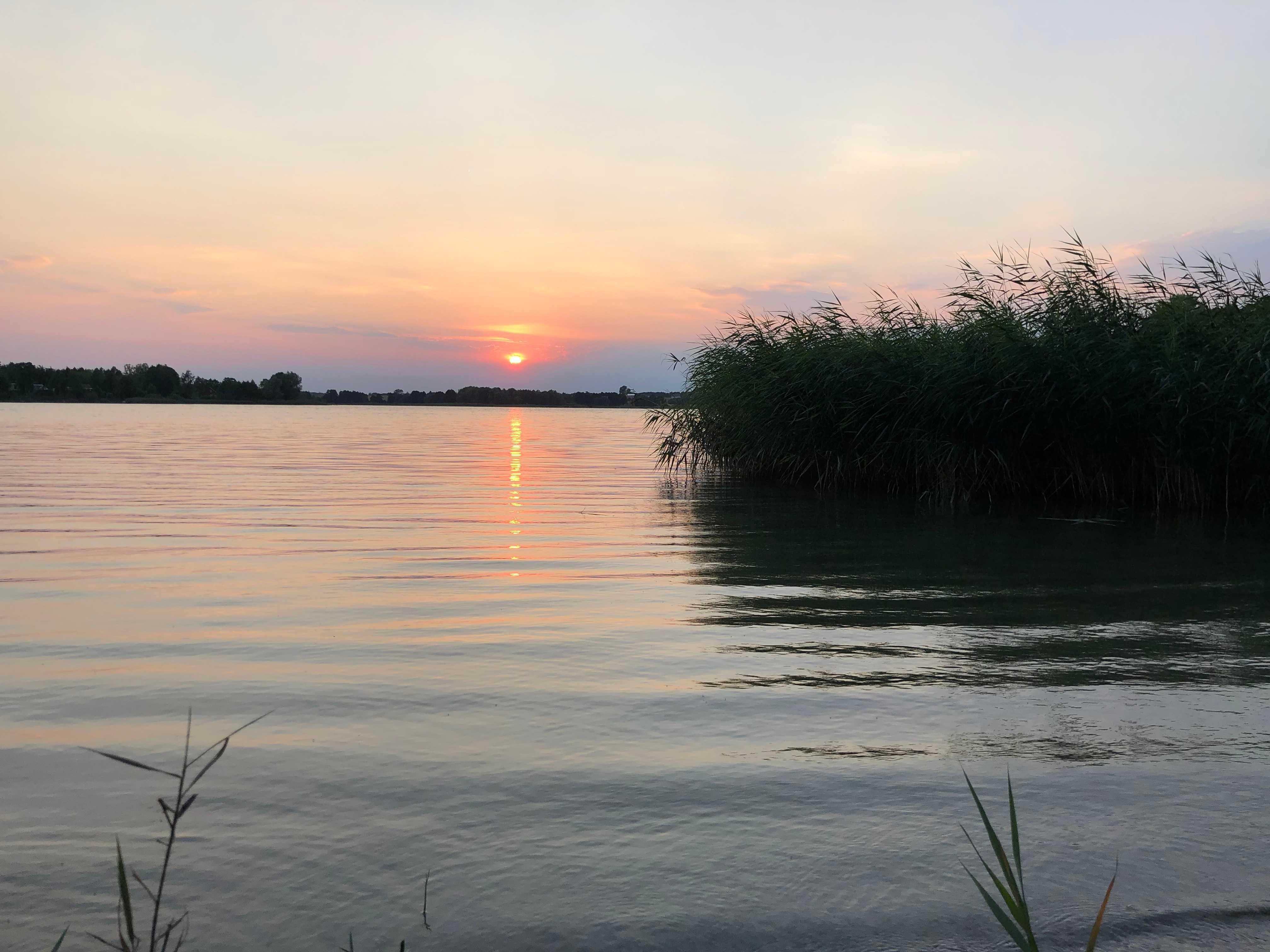 Przedsionek uniwersalny