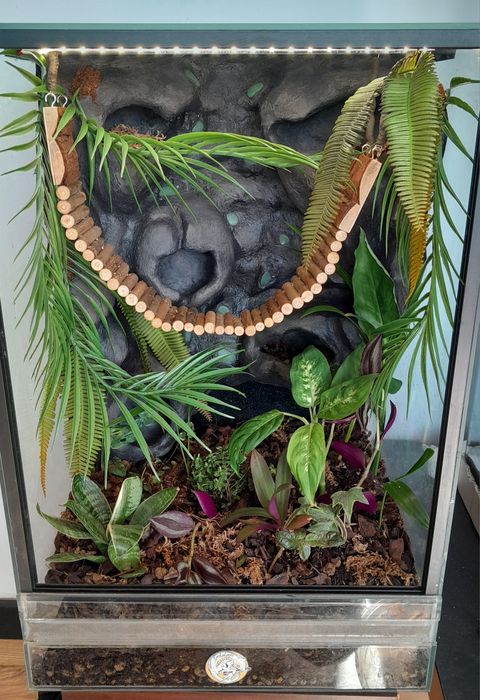 Terrarium 40x40x60 fluorescencyjne kompletny zestaw