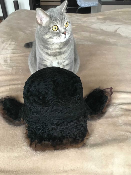 Винтажная шапка Норка-Каракуль комбинированая, практически новая.