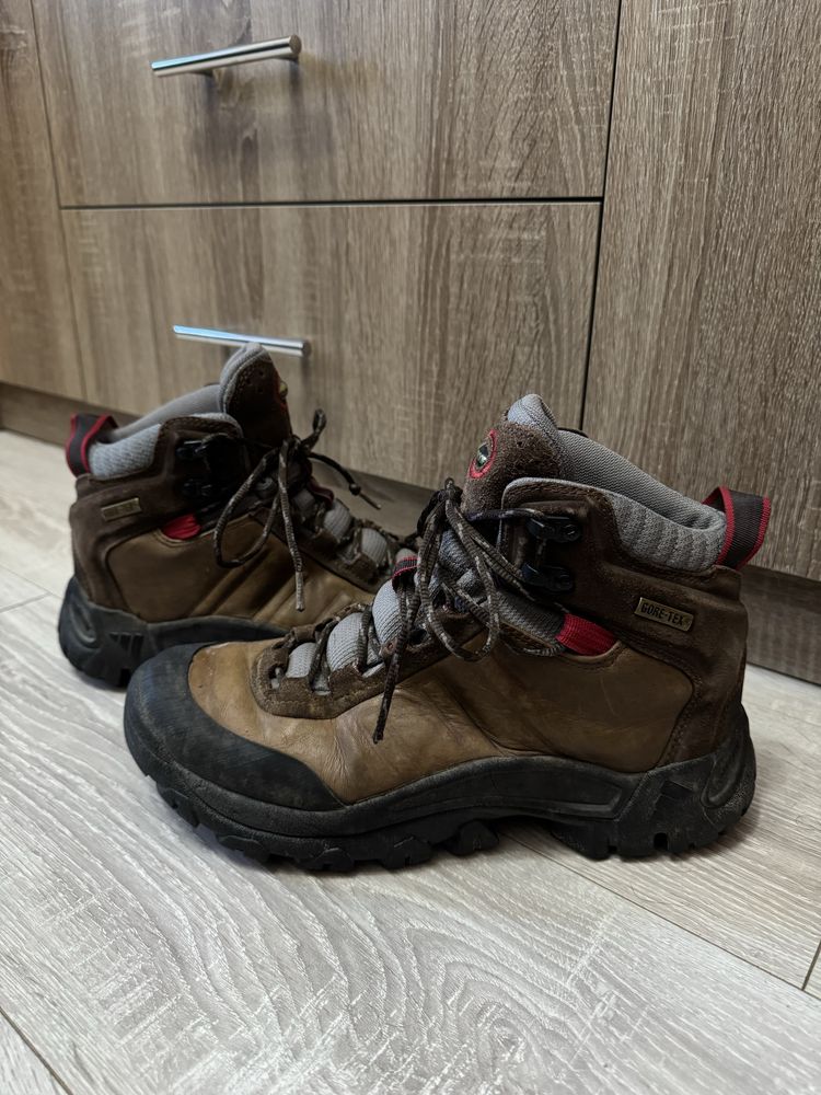 Трекінгові ботинки Adidas GORE-TEX