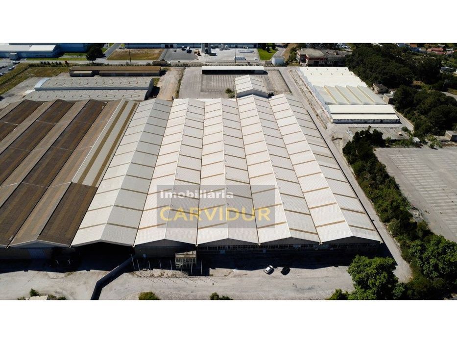Armazém Industrial 10.000m2 nave única, pé direito 8m.