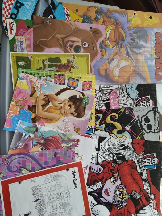 Karteczki do segregatora