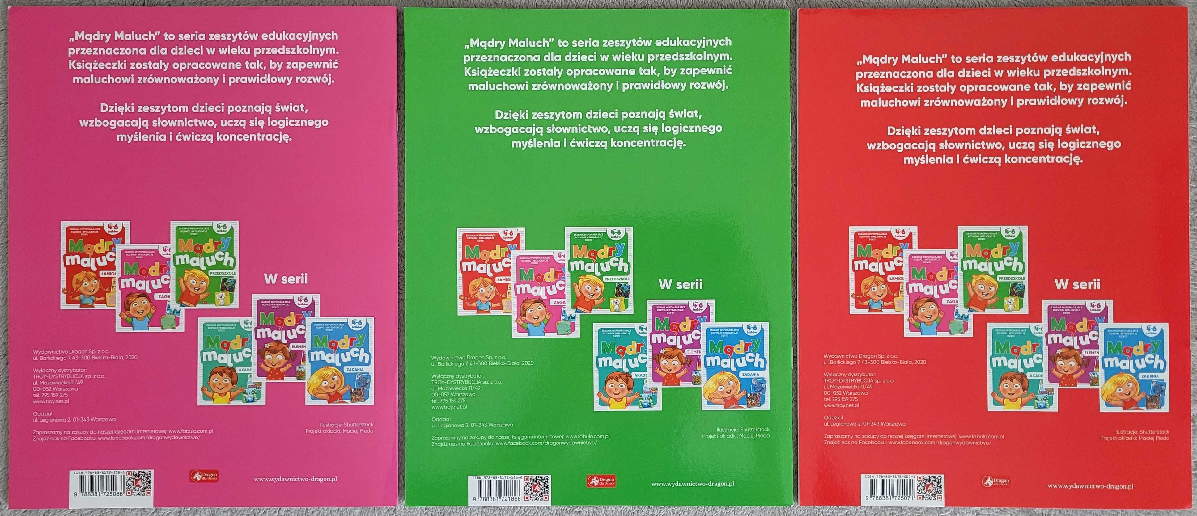 Książeczki dla dzieci Mądry maluch, 4-6 lat, 3 sztuki