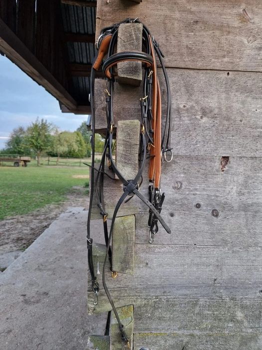 Ogłowia pony, cob i full