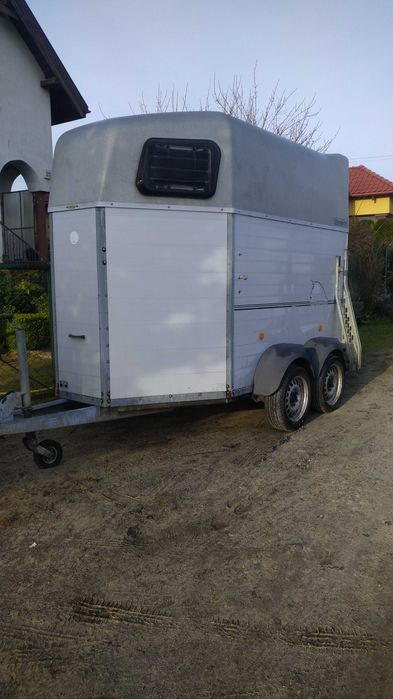 Przyczepa do transportu koni - wynajem