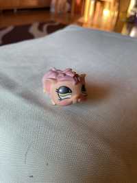 The Littlest Pet Shop - świnka morska