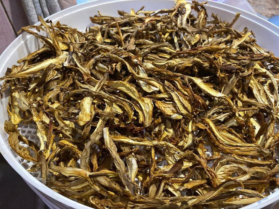 Сушенные гливы (вешенки)