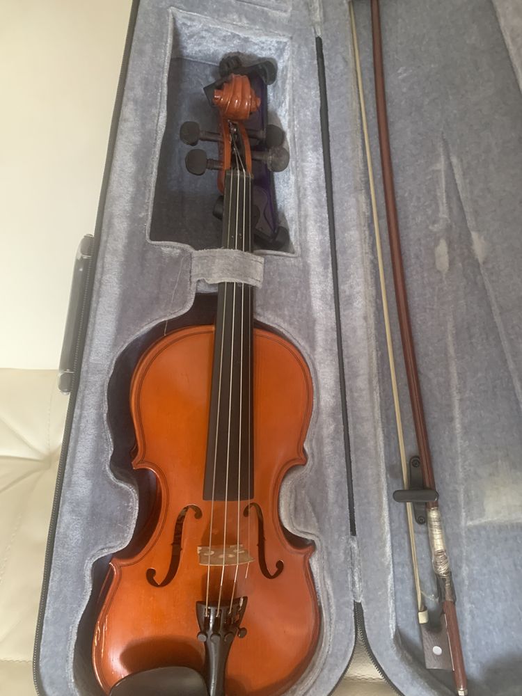 Vendo violino ensino